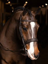 LeMieux Flat Hunter Bridle with Laced Reins